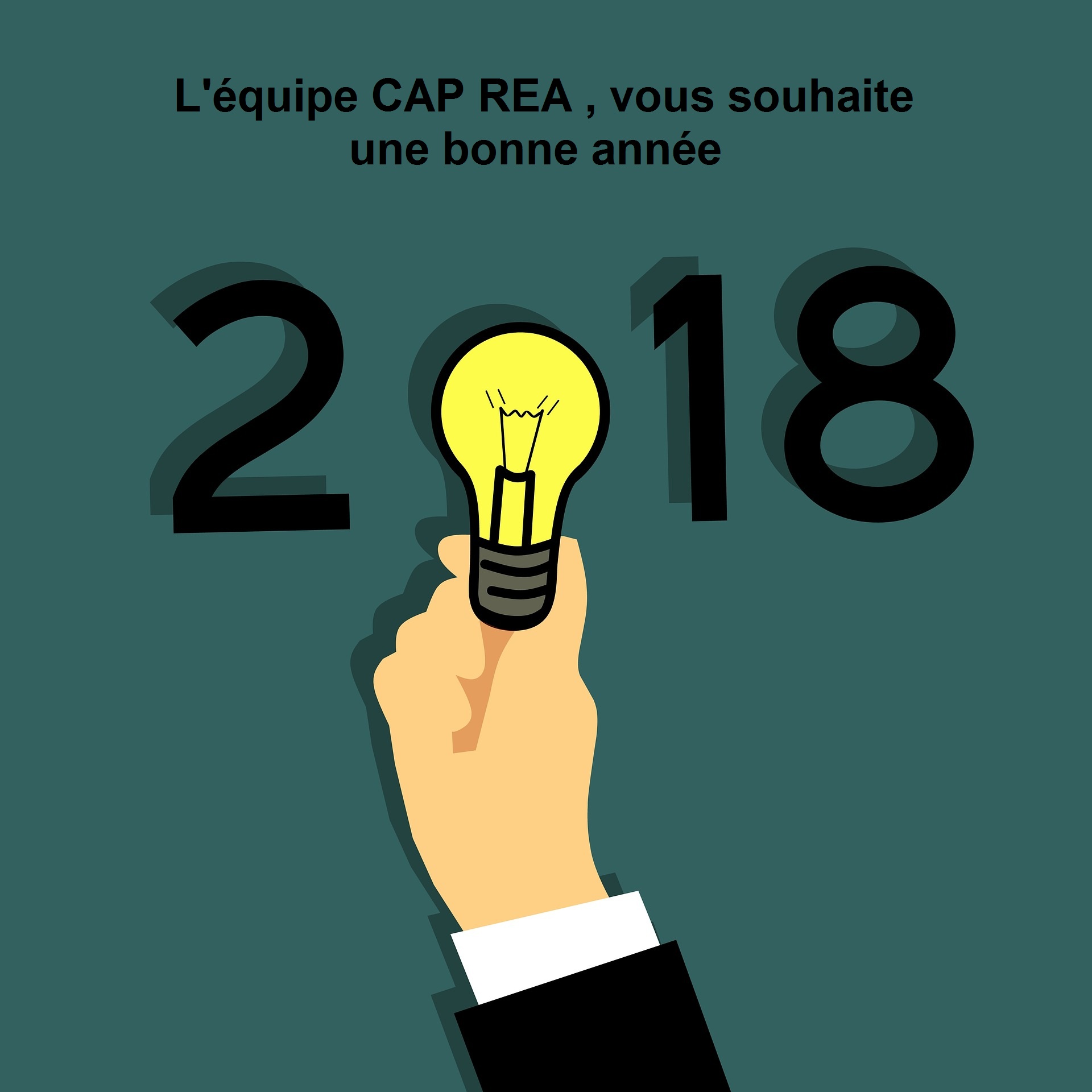 La sarl CAP REA, vous remercie de votre confiance et vous présente ses meilleurs vœux pour l’année 2018.